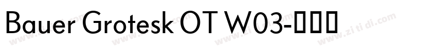 Bauer Grotesk OT W03字体转换